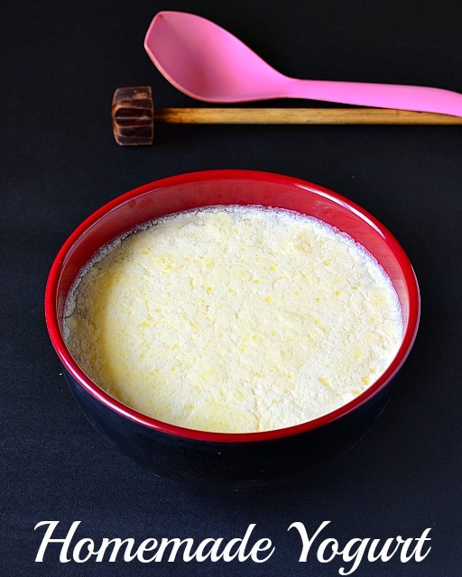 Homemade Yogurt