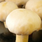 How to Clean Mushrooms or Button Mushrooms