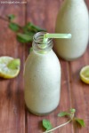 Kiwi Lemon Smoothie recipe
