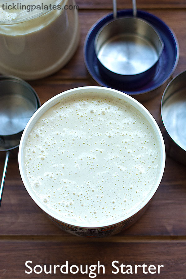 sourdough starter recipe
