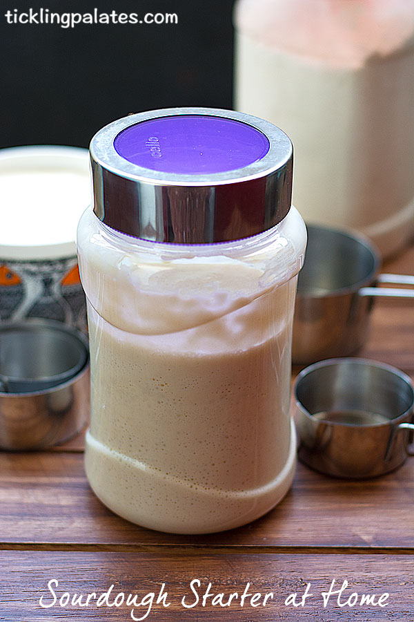 sourdough starter india
