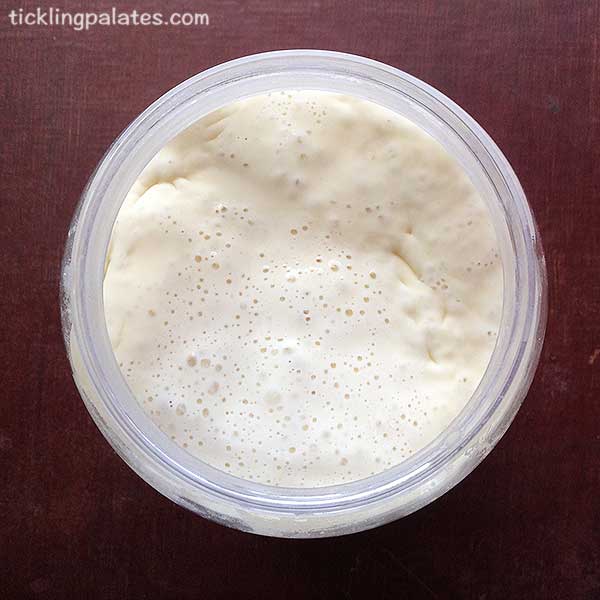 top view of sourdough starter day7